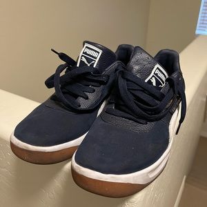 Blue California Puma